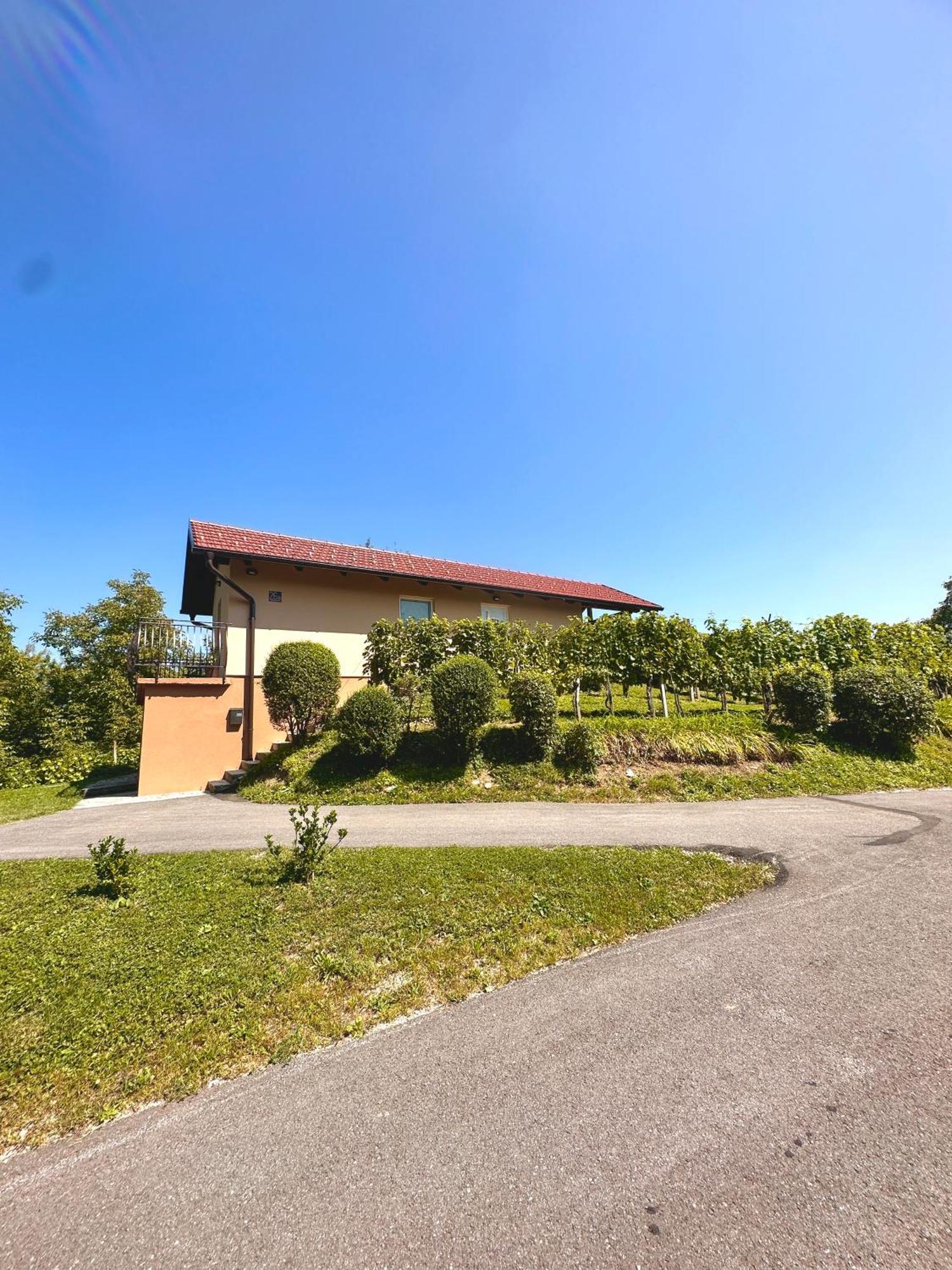 Holiday House Tomajna Podlehnik Exterior foto